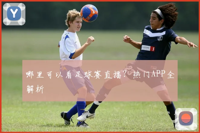 哪里可以看足球赛直播？热门APP全解析